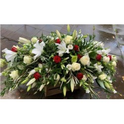 Sympathy 30 - Prices start from £280.00